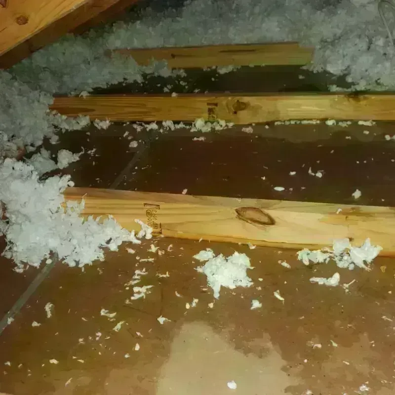 Attic Water Damage in Bartonville, TX